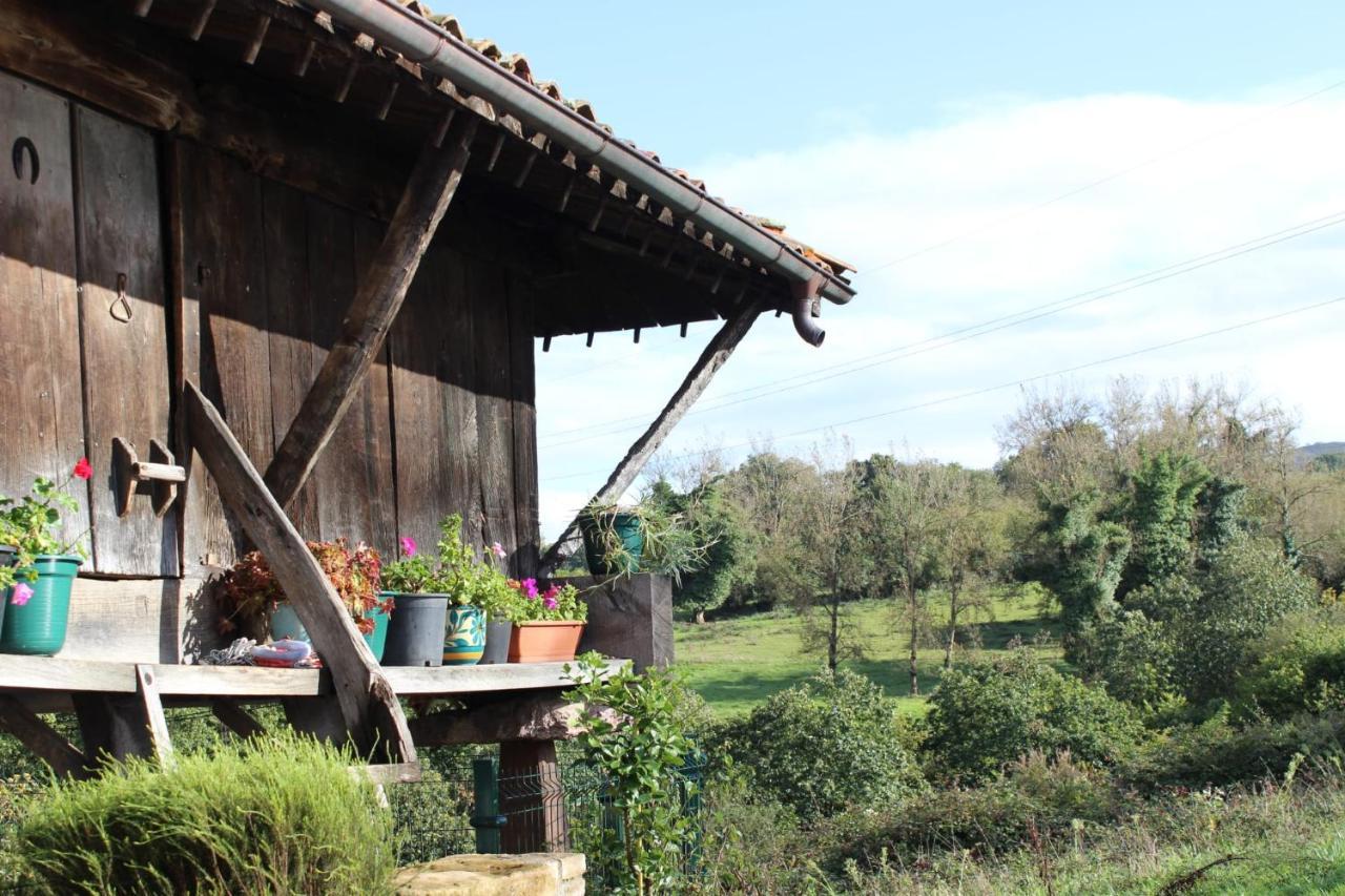 Casa Pepin - Sagasta Rural Oviedo Pensionat Exteriör bild