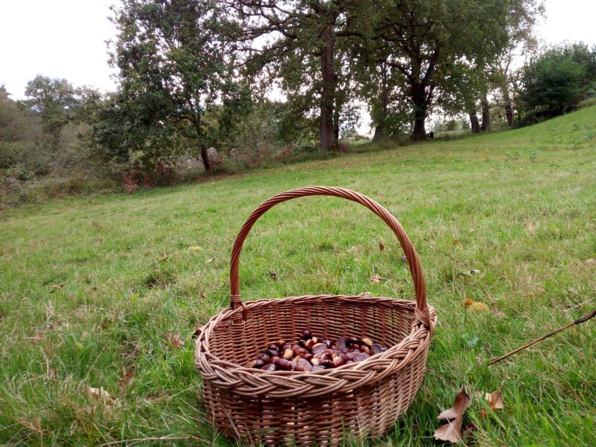 Casa Pepin - Sagasta Rural Oviedo Pensionat Exteriör bild