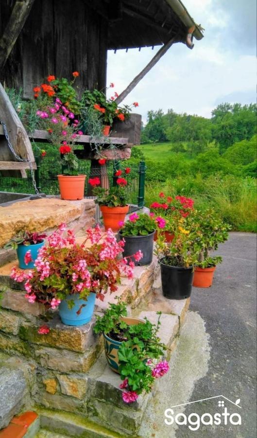 Casa Pepin - Sagasta Rural Oviedo Pensionat Exteriör bild